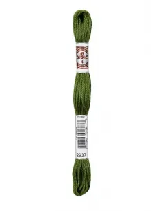 Fil à broder, Retors Mat DMC Art 89, 10 m, Avocat (2937)