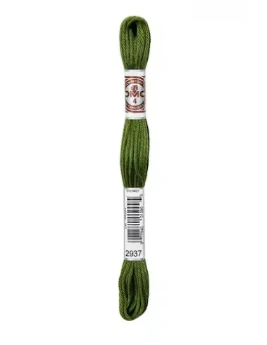 Fil à broder, Retors Mat DMC Art 89, 10 m, Avocat (2937)