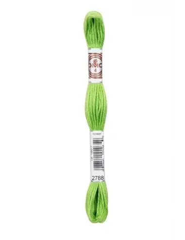 Fil à broder, Retors Mat DMC Art 89, 10 m, Citron vert (2788)
