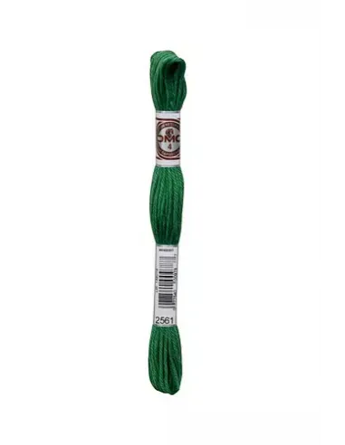 Fil à broder, Retors Mat DMC Art 89, 10 m, Vert anglais (2561)
