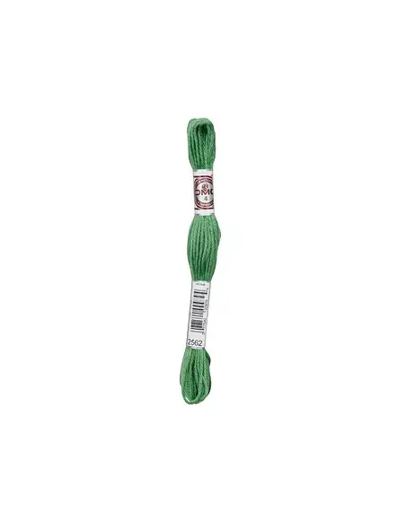 Fil à broder, Retors Mat DMC Art 89, 10 m, Malachite (2562)