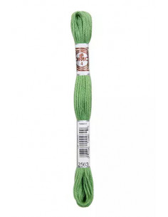 Fil Retors mat, Vert fenouil, 2563