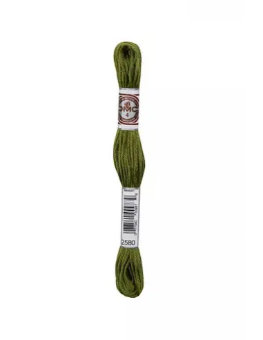 Fil à broder, Retors Mat DMC Art 89, 10 m, Vert criquet (2580)