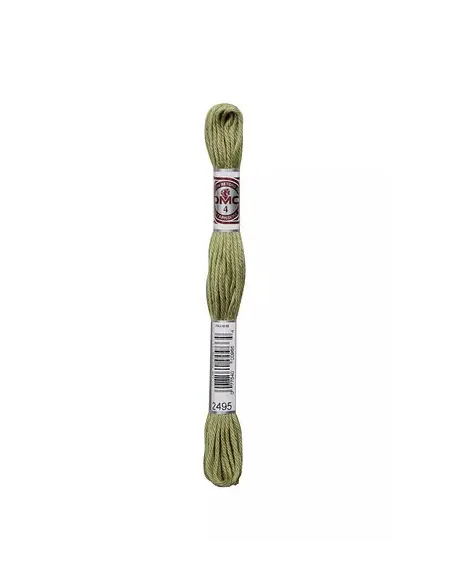 Fil à broder, Retors Mat DMC Art 89, 10 m, Vert tweed (2495)