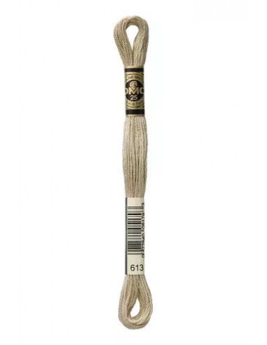Fil à broder, Mouliné Spécial DMC Art 117, 8 m, Ficelle (613)