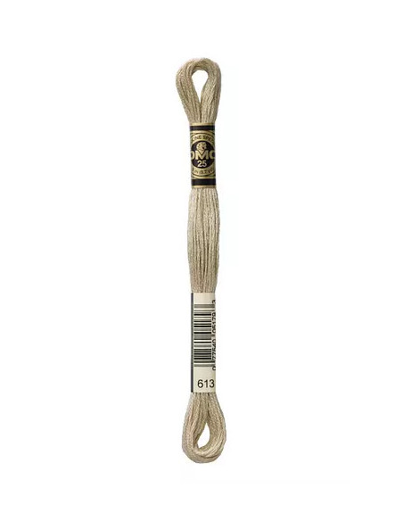 Fil à broder, Mouliné Spécial DMC Art 117, 8 m, Ficelle (613)