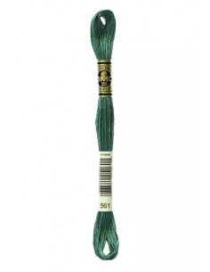 Fil à broder, Mouliné Spécial DMC Art 117, 100% Coton à longues fibres, double mercerisation, 8 m, Vert cyprès (561)
