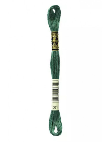 Fil à broder, Mouliné Spécial DMC Art 117, 8 m, Vert cyprès (561)