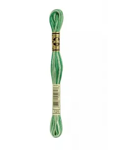 Fil à broder, Mouliné Spécial DMC Art 117, 8 m, Vert printemps ombré (125)