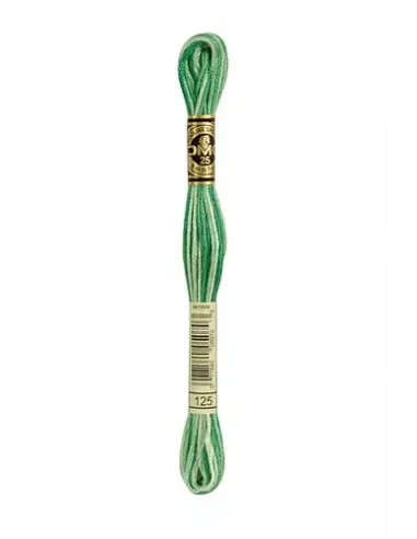 Fil à broder, Mouliné Spécial DMC Art 117, 8 m, Vert printemps ombré (125)