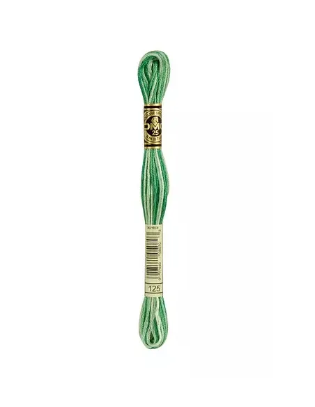 Fil à broder, Mouliné Spécial DMC Art 117, 8 m, Vert printemps ombré (125)