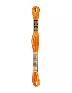 Fil à broder, Orange citrouille ombré, 51