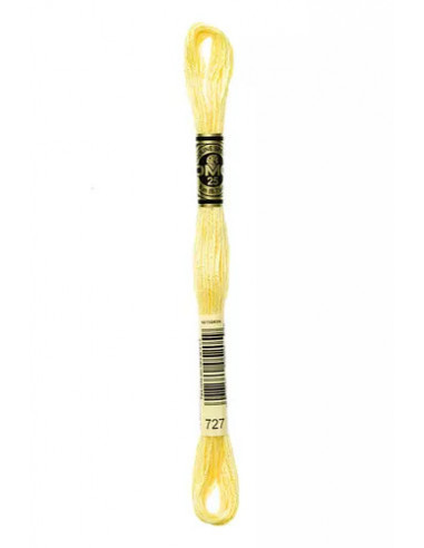 Fil à broder, Mouliné Spécial DMC Art 117, 100% Coton à longues fibres, double mercerisation, 8 m, Litchee (727)