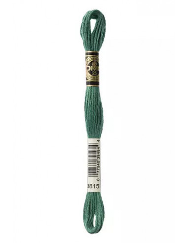 Fil à broder, Mouliné Spécial DMC Art 117, 8 m, Vert amandier (3815)