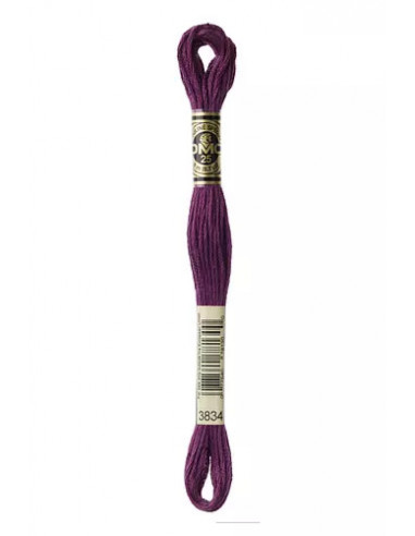 Fil à broder, Mouliné Spécial DMC Art 117, 8 m, Raisin (3834)