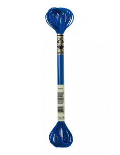 Fil à broder, Mouliné Effet Lumière DMC Art 317W, 100% Polyester, 8 m, Bleu Gentiane Métallisé (E825)