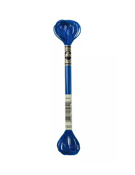 Fil à broder, Mouliné Effet Lumière DMC Art 317W, 100% Polyester, 8 m, Bleu Gentiane Métallisé (E825)