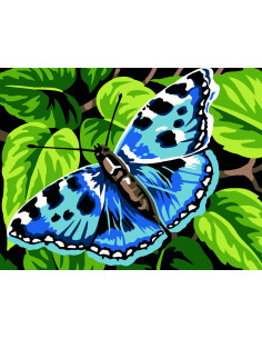 Kit canevas : 20x25 cm, blanc : Papillon