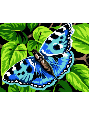 Kit canevas : 20x25 cm, blanc : Papillon