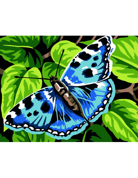 Kit canevas : 20x25 cm, blanc : Papillon