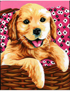 Kit canevas : 20x25 cm, blanc