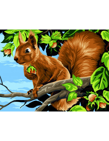 Canevas 40 x 50 cm - Les noisettes