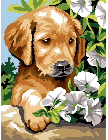 Canevas : 40x50 cm, N22 - liserons