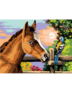 Canevas 40 x 50 cm - Le poulain et l'oiseau