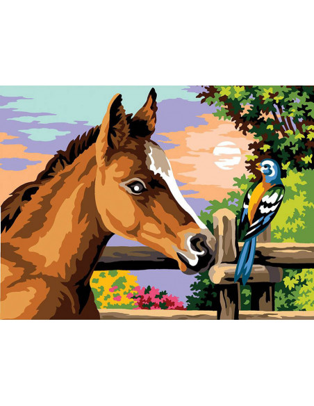 Canevas 40 x 50 cm - Le poulain et l'oiseau