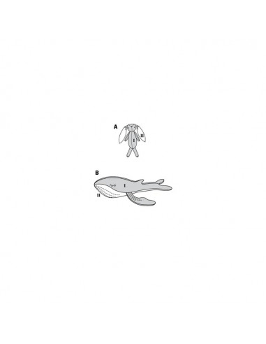 Patron Burda 6044 - Peluches - lapin et baleine