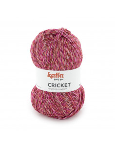 Fil Katia - Cricket 2