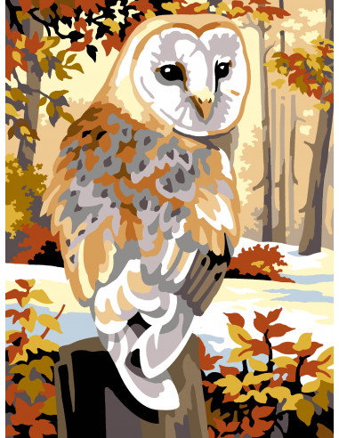 Canevas 40 x 50 cm - La chouette