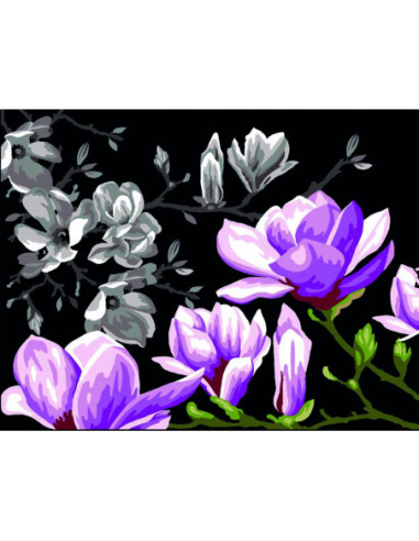 Canevas : 50x65 cm, Magnolias for ever