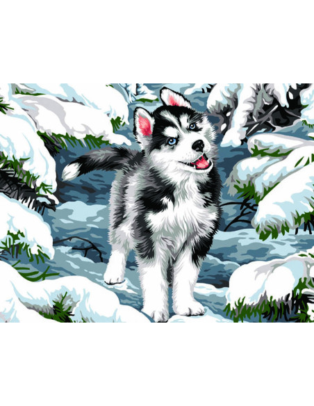 Canevas : 50x65 cm, Cache neige