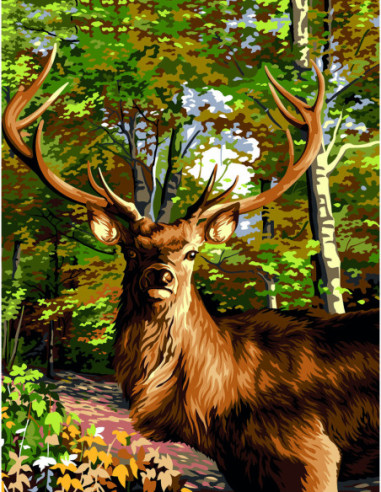 Canevas : 50x65 cm, Le prince des bois