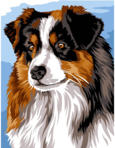 Canevas : 50x65 cm, N18 - berger australien -