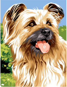 Canevas : 50x65 cm, N18 - berger des pyrenees -