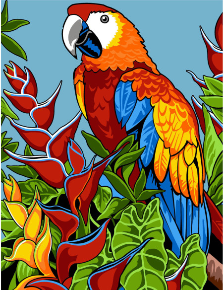 Canevas : 50x65 cm, N18 - perroquet -