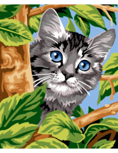 Canevas : 60x70 cm, N24 - chat perché