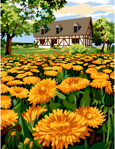 Canevas : 60x80 cm, N20 - au bout des champs