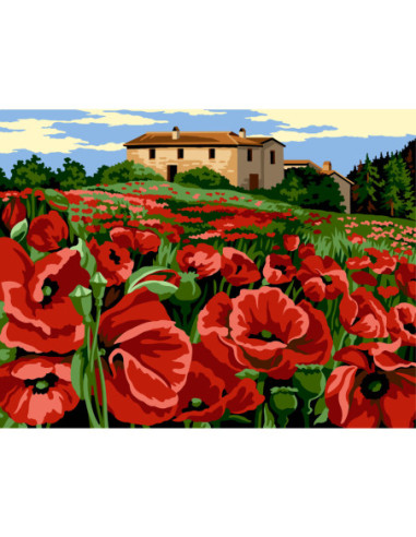 Canevas : 60x80 cm, N20 - champs rouge