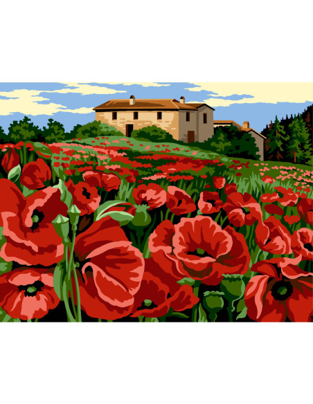 Canevas : 60x80 cm, N20 - champs rouge