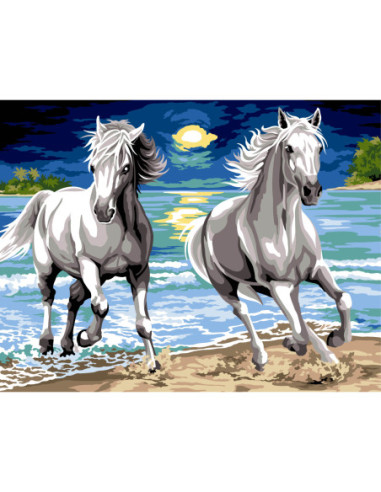 Canevas : 60x80 cm, N21 - galop nocturne