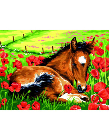 Canevas : 40x50 cm, Le poulain -