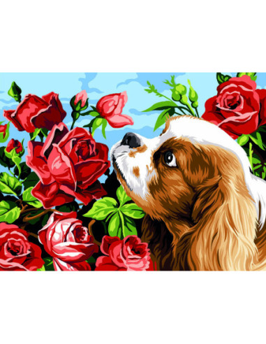 Canevas : 40x50 cm, King Charles et les roses