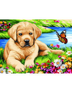 Canevas : 40x50 cm, Petit labrador