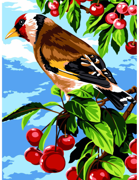 Canevas : 40x50 cm, Plume d'été