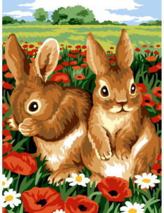 Canevas : 40x50 cm, N20 - colle serre