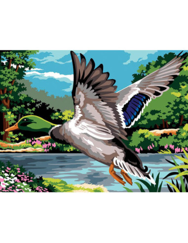 Canevas : 40x50 cm, N23 - battement d'ailes