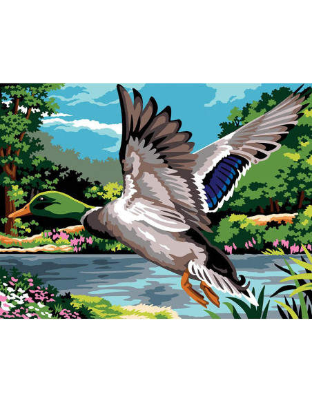 Canevas : 40x50 cm, N23 - battement d'ailes